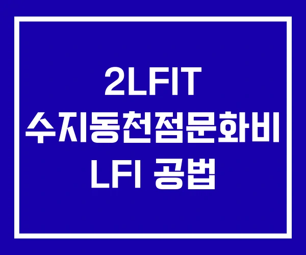 2LFIT 수지동천점문화비 LFI 공법