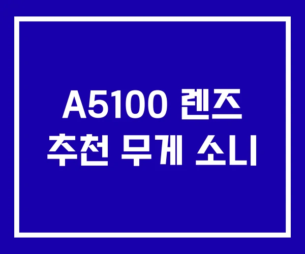 A5100 렌즈 추천 무게 소니 A5100 렌즈 추천 무게 소니