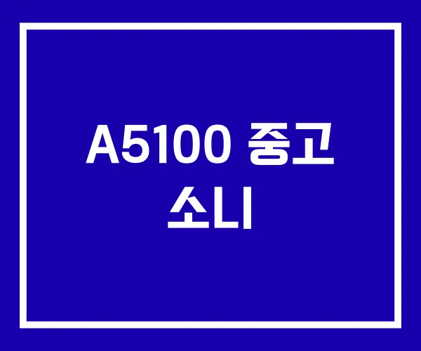A5100 중고 소니
