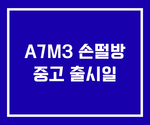 A7M3 손떨방 중고 출시일