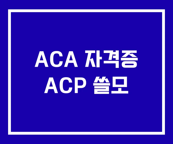ACA 자격증 ACP 쓸모 ACA 자격증 ACP 쓸모