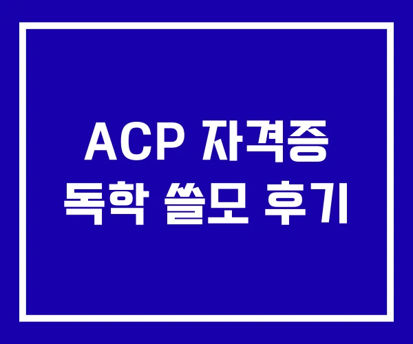 ACP 자격증 독학 쓸모 후기 ACP 자격증 독학 쓸모 후기