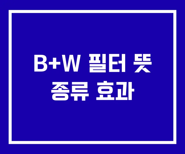 B+W 필터 뜻 종류 효과