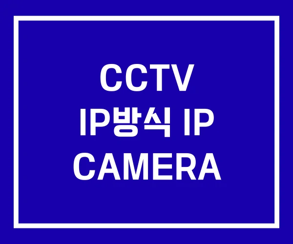 CCTV IP방식 IP CAMERA