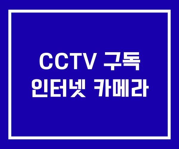 CCTV 구독 인터넷 카메라