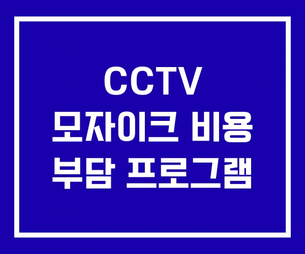 CCTV 모자이크 비용 부담 프로그램