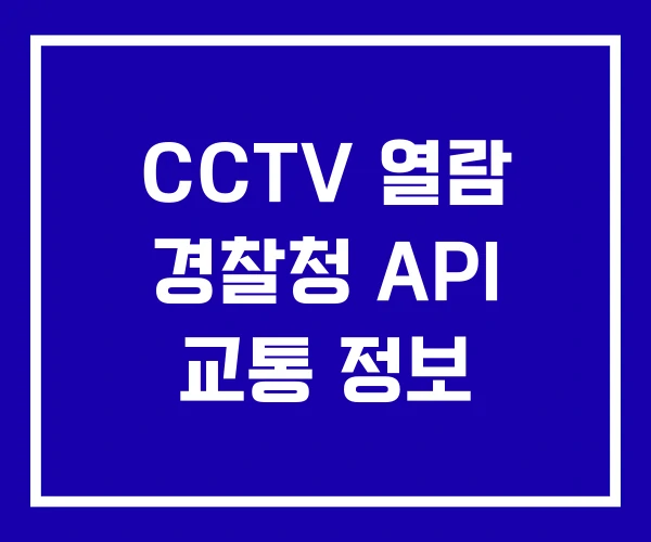 CCTV 열람 경찰청 API 교통 정보 CCTV 열람 경찰청 API 교통 정보