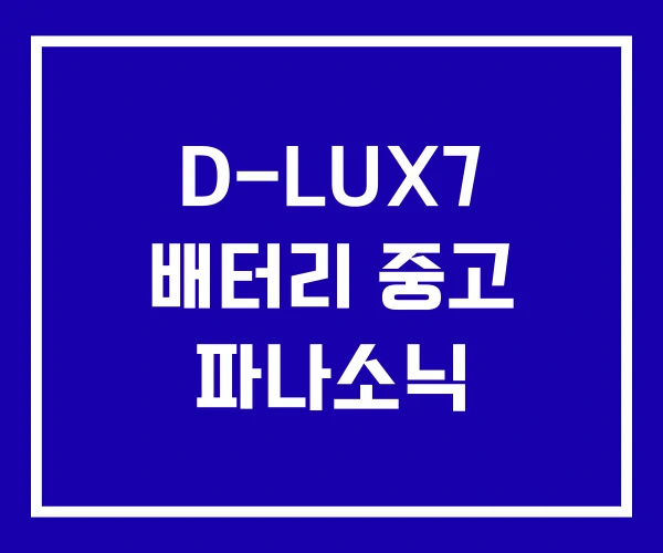 D-LUX7 배터리 중고 파나소닉
