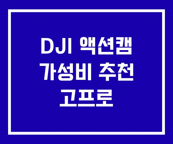 DJI 액션캠 가성비 추천 고프로