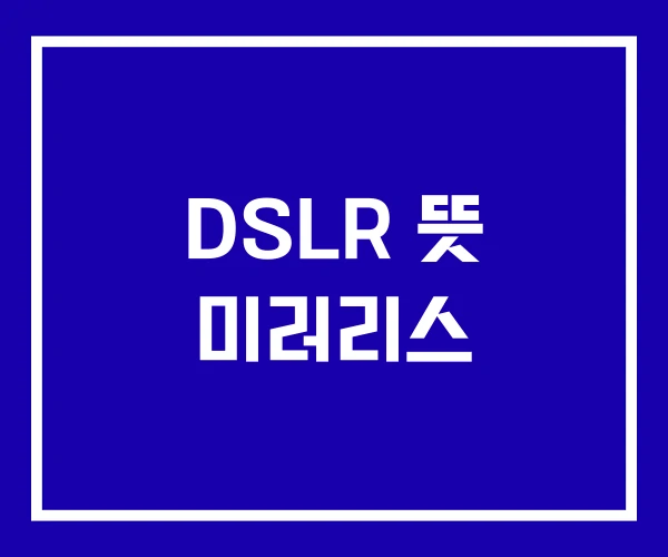 DSLR 뜻 미러리스