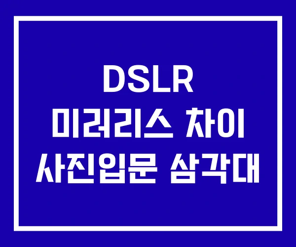 DSLR 미러리스 차이 사진입문 삼각대 DSLR 미러리스 차이 사진입문 삼각대