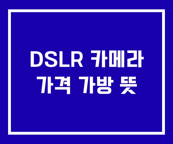 DSLR 카메라 가격 가방 뜻