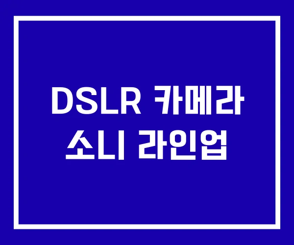 DSLR 카메라 소니 라인업