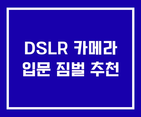 DSLR 카메라 입문 짐벌 추천 DSLR 카메라 입문 짐벌 추천