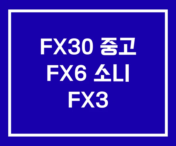 FX30 중고 FX6 소니 FX3 FX30 중고 FX6 소니 FX3