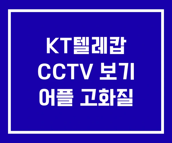 KT텔레캅 CCTV 보기 어플 고화질