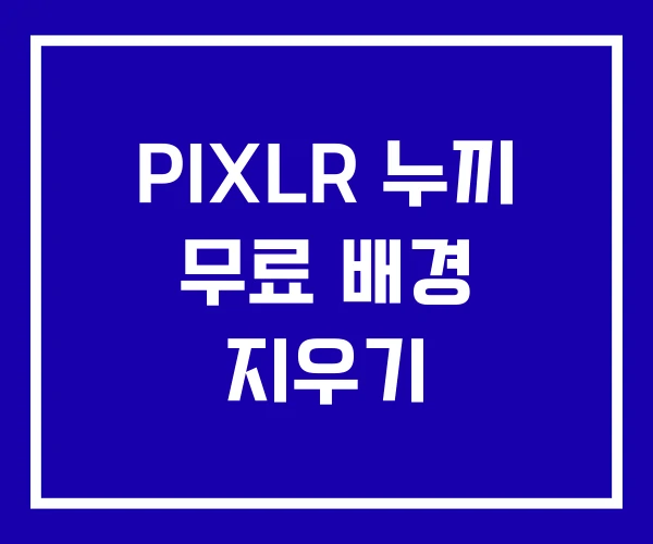 PIXLR 누끼 무료 배경 지우기