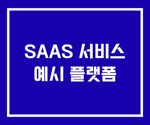 SAAS 서비스 예시 플랫폼