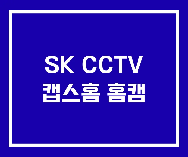 SK CCTV 캡스홈 홈캠