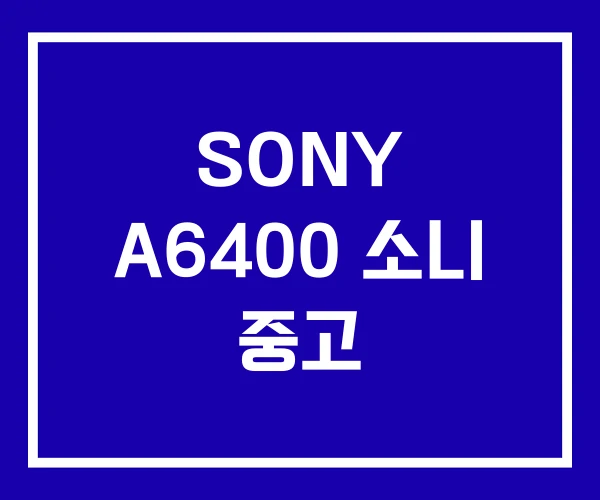 SONY A6400 소니 중고