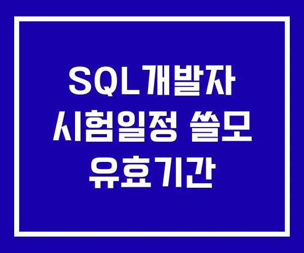 SQL개발자 시험일정 쓸모 유효기간 SQL개발자 시험일정 쓸모 유효기간