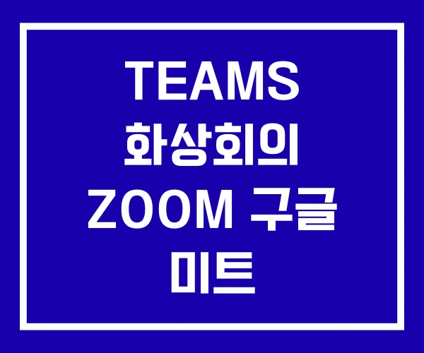 TEAMS 화상회의 ZOOM 구글 미트