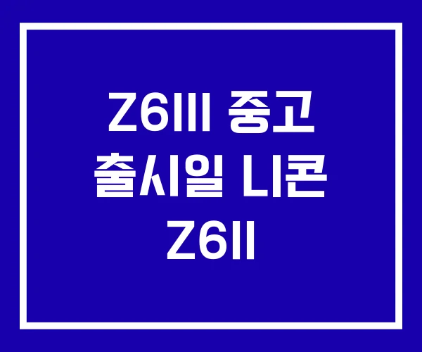 Z6III 중고 출시일 니콘 Z6II