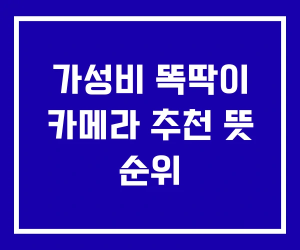 가성비 똑딱이 카메라 추천 뜻 순위
