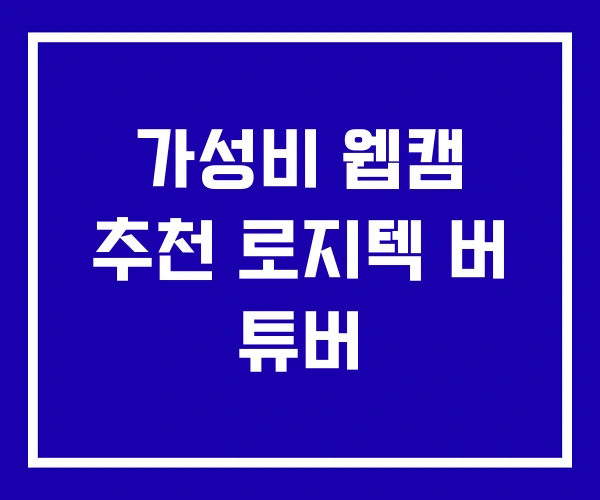 가성비 웹캠 추천 로지텍 버 튜버