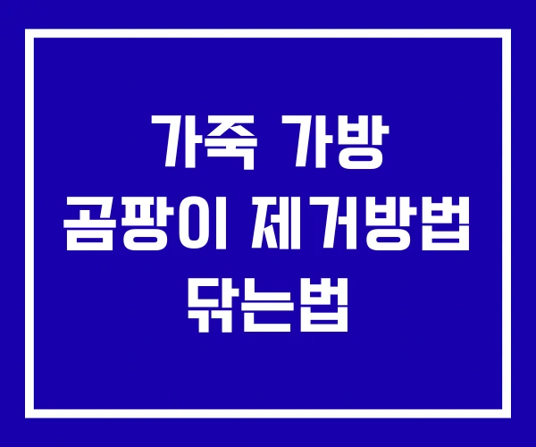 가죽 가방 곰팡이 제거방법 닦는법 가죽 가방 곰팡이 제거방법 닦는법
