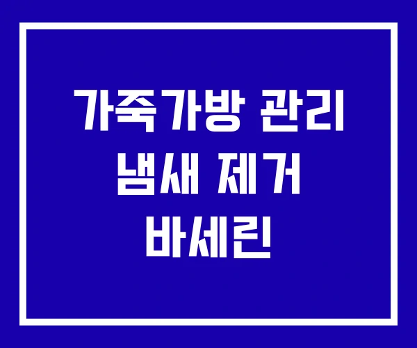 가죽가방 관리 냄새 제거 바세린 가죽가방 관리 냄새 제거 바세린