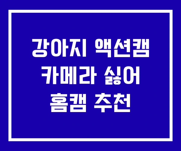 강아지 액션캠 카메라 싫어 홈캠 추천
