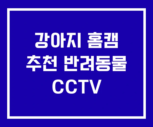 강아지 홈캠 추천 반려동물 CCTV