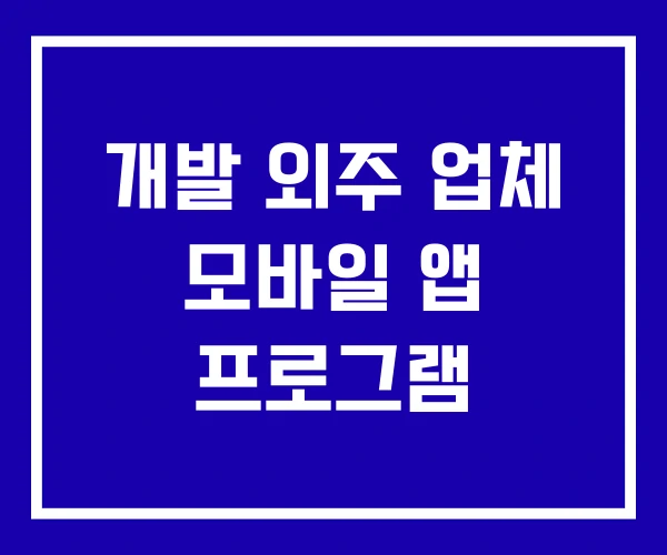 개발 외주 업체 모바일 앱 프로그램 개발 외주 업체 모바일 앱 프로그램