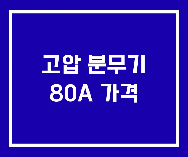 고압 분무기 80A 가격 고압 분무기 80A 가격