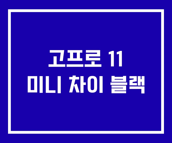 고프로 11 미니 차이 블랙 고프로 11 미니 차이 블랙