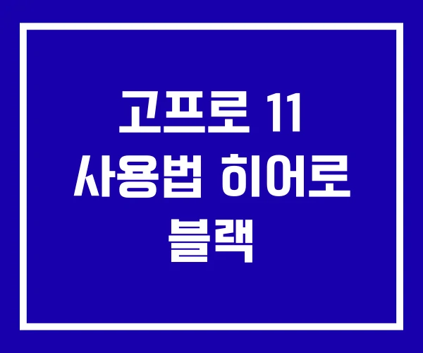고프로 11 사용법 히어로 블랙