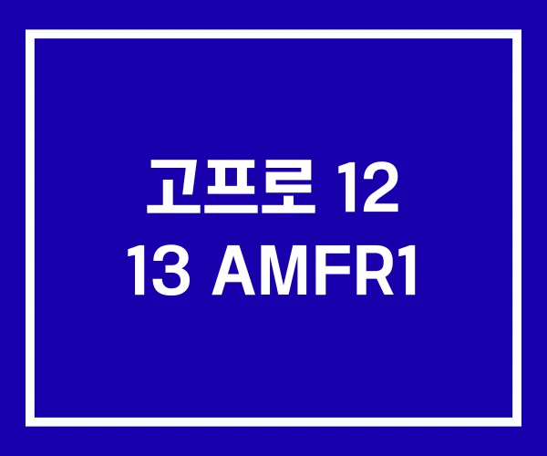 고프로 12 13 AMFR1