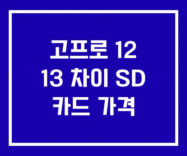 고프로 12 13 차이 SD 카드 가격