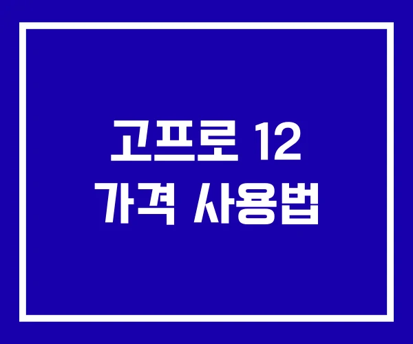 고프로 12 가격 사용법
