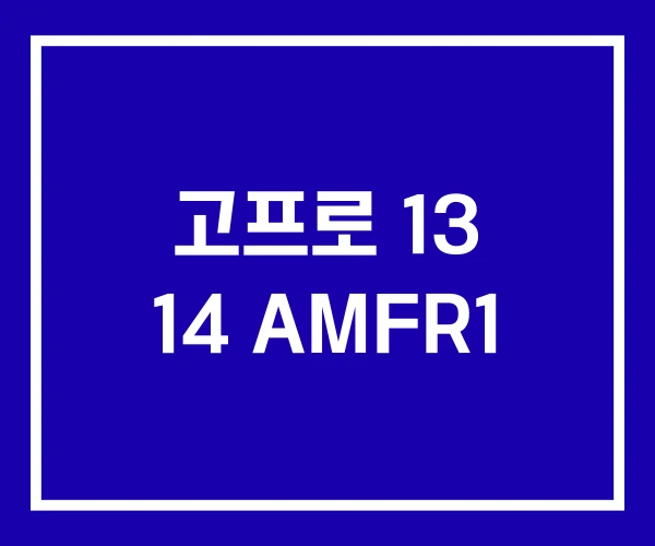 고프로 13 14 AMFR1