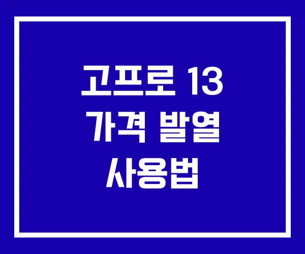 고프로 13 가격 발열 사용법