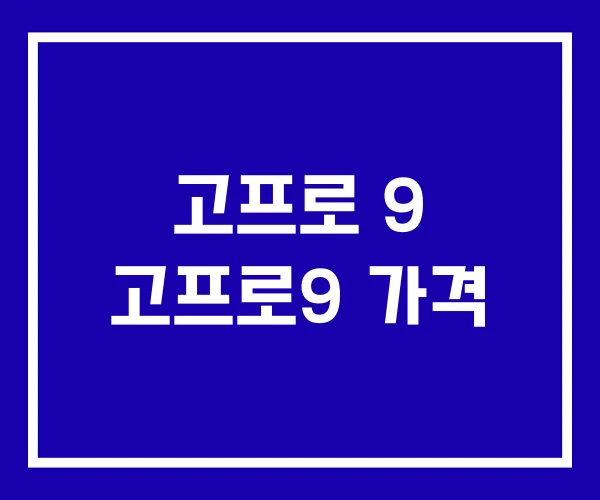 고프로 9 고프로9 가격