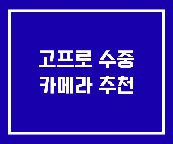고프로 수중 카메라 추천 고프로 수중 카메라 추천