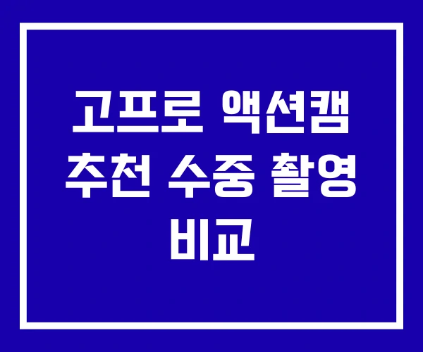 고프로 액션캠 추천 수중 촬영 비교