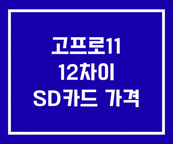 고프로11 12차이 SD카드 가격