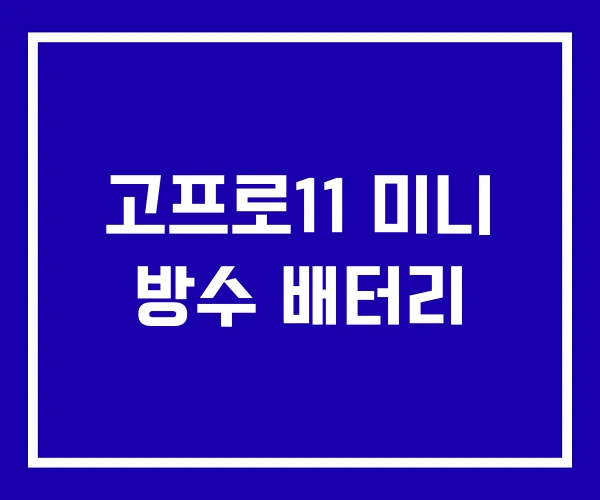 고프로11 미니 방수 배터리