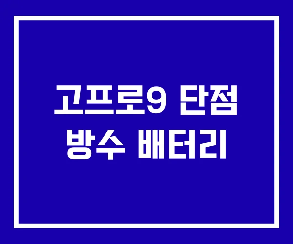 고프로9 단점 방수 배터리