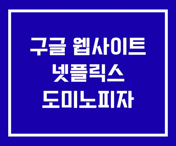 구글 웹사이트 넷플릭스 도미노피자