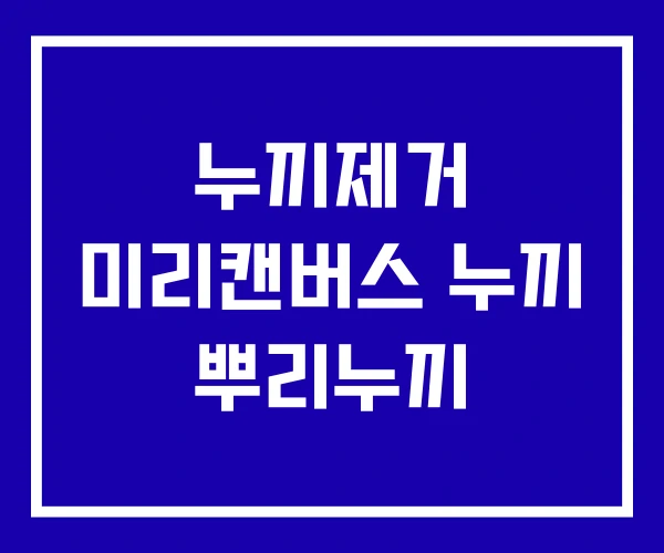 누끼제거 미리캔버스 누끼 뿌리누끼